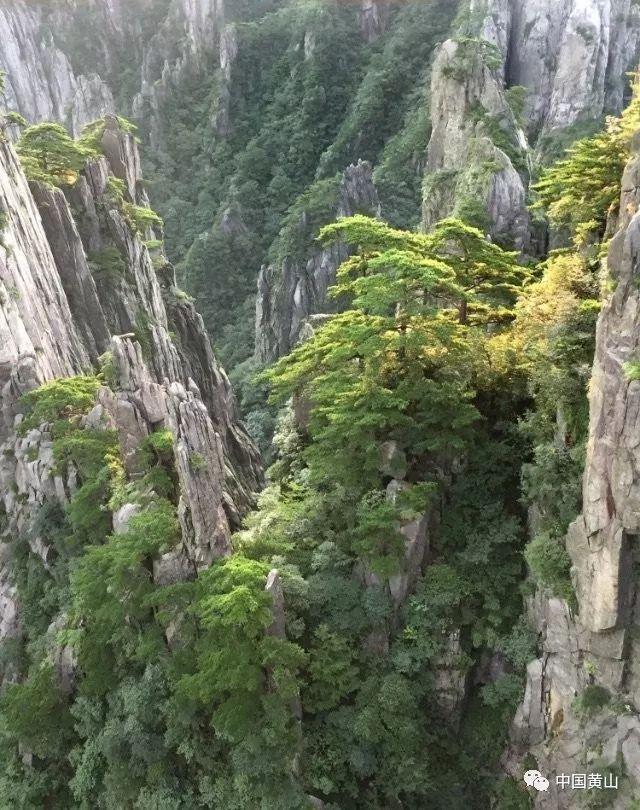 怎么才能避免老被同事欺负？游戏画面